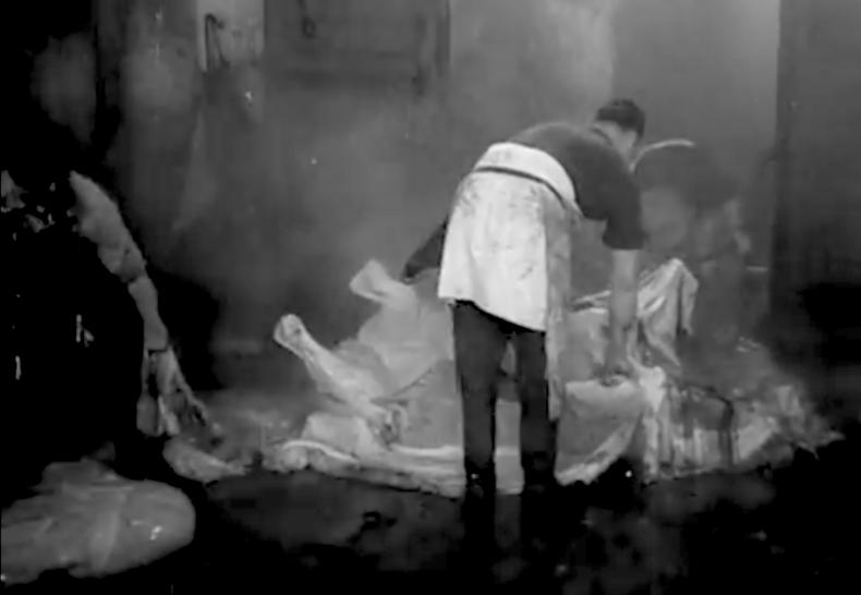 LE SANG DES BÊTES, R: Georges Franju, F 1949