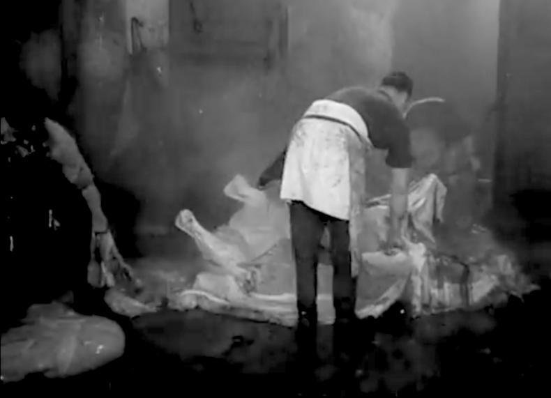 LE SANG DES BÊTES, R: Georges Franju, F 1949