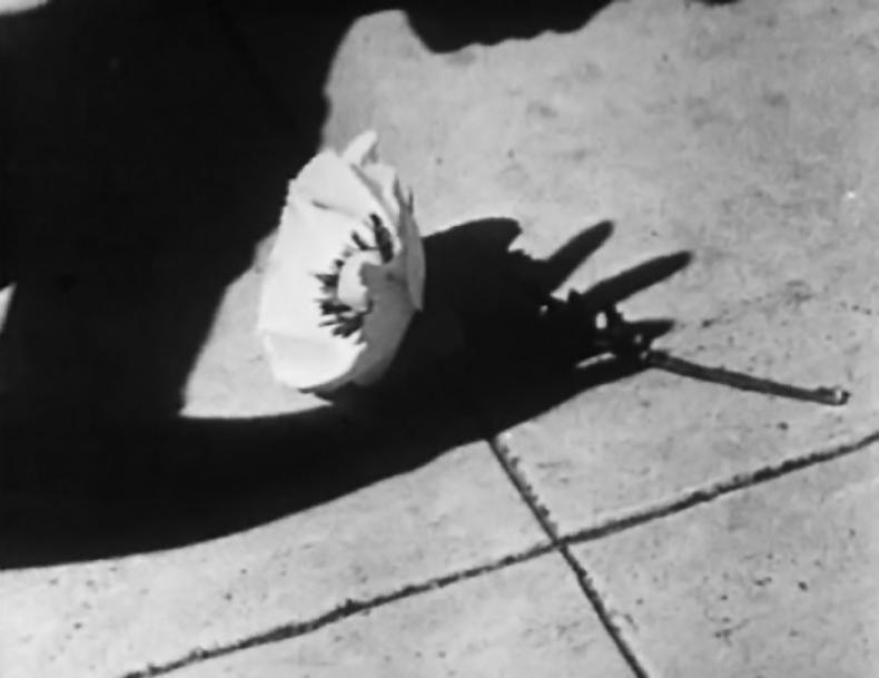 MESHES OF THE AFTERNOON, R: Maya Deren, USA 1942