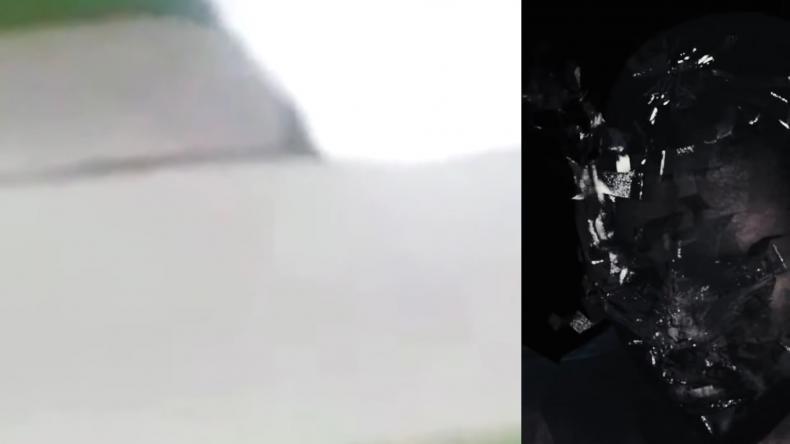 WASH US IN THE BLOOD, R: Arthur Jafa, USA 2020