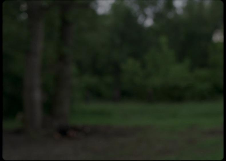 SAUL FIA, R: Laszlo Nemes, H 2015